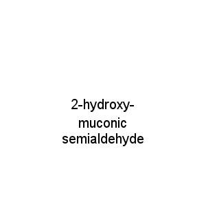 2-hydroxy-muconic semialdehyde